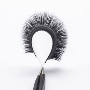 Camellia Eyelash Extension