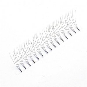 Premade Fans Eyelash Extension