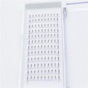 Russian Volume Eyelash Extension