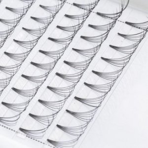 Russian Volume Lash Extension