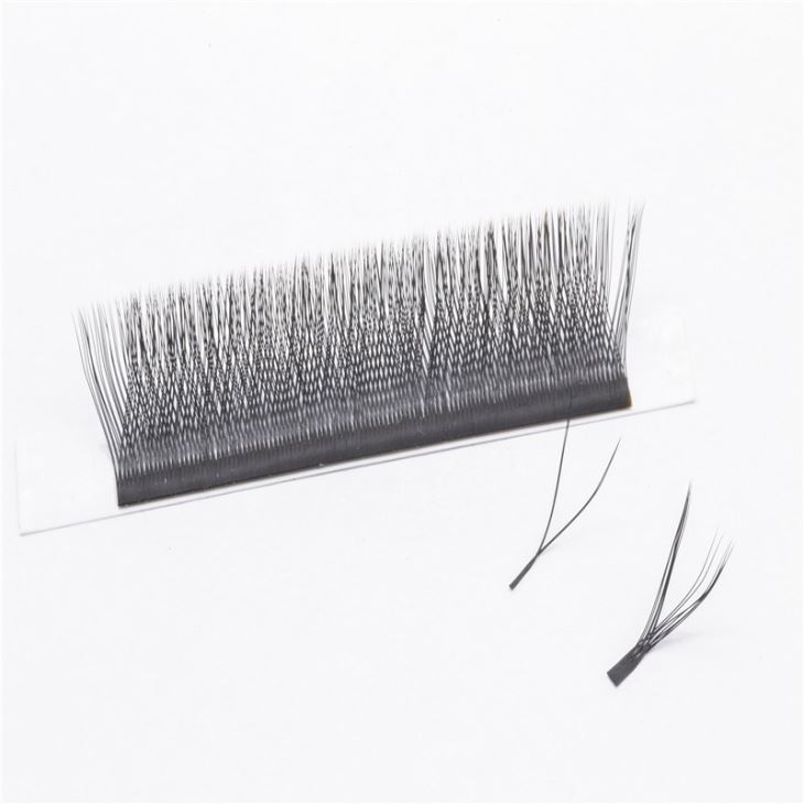 YY Eyelash Extension